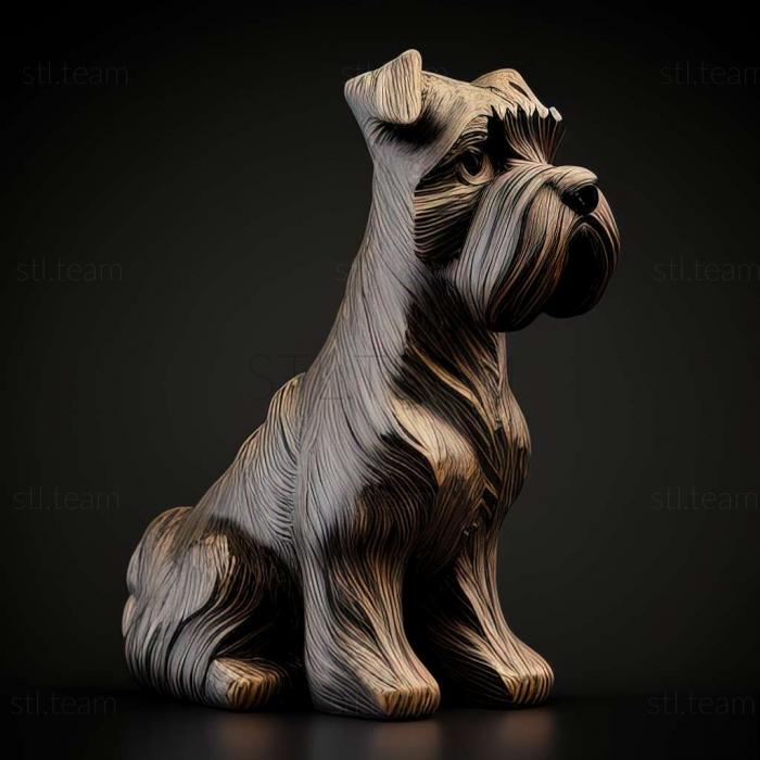 Zwergschnauzer dog